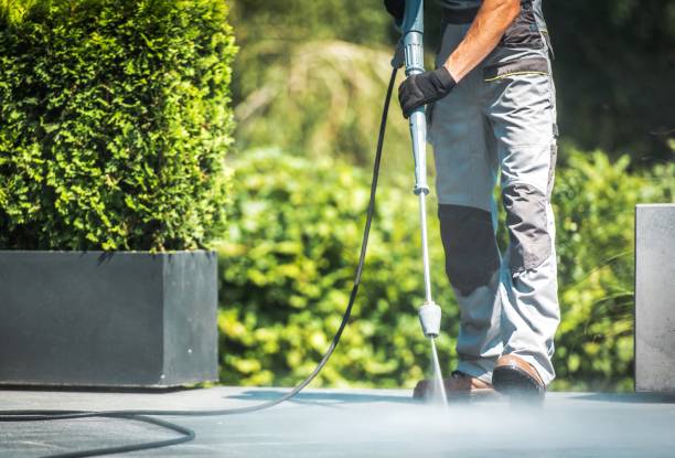 Best House Exterior Washing  in Mojave, CA