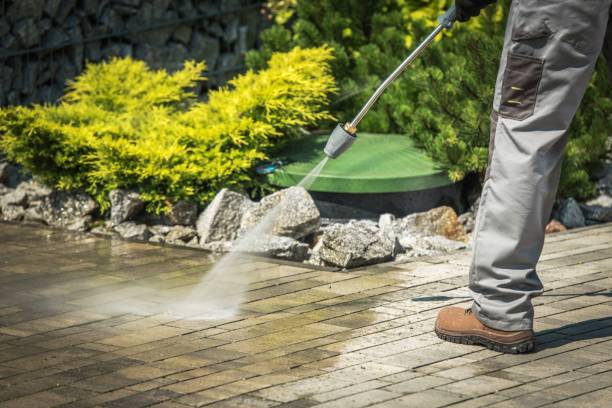 Best Winterizing Services  in Mojave, CA